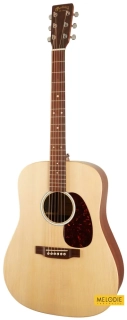 MARTIN D-X2E